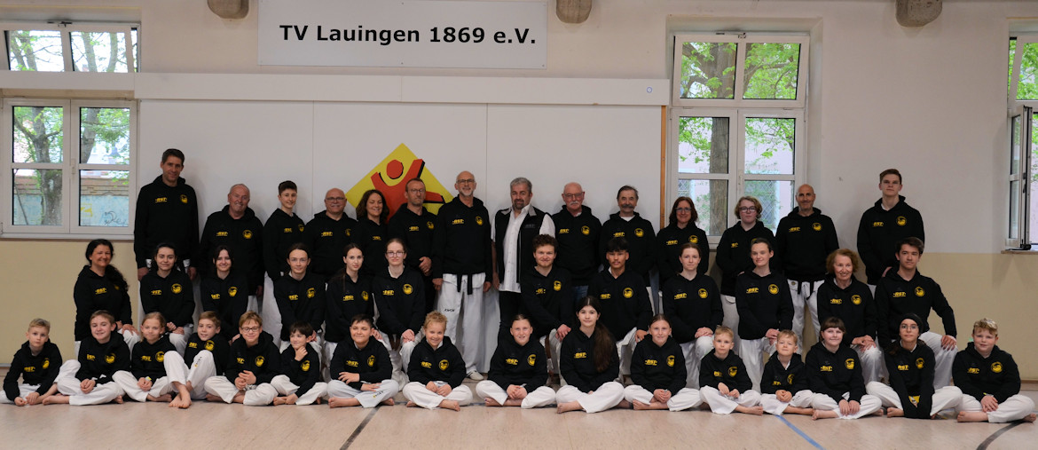 TV Lauingen